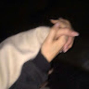 Meet your Posher, Brock